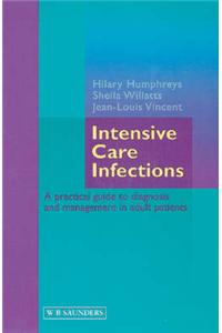 Intensive Care Infections: A Practical Guide to Diagnosis and Management in Adult Patients