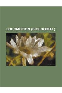 Bridge-Tunnels: Bridge-Tunnels in the United States, Great Belt Fixed Link, Oresund Bridge, Chesapeake Bay Bridge-Tunnel