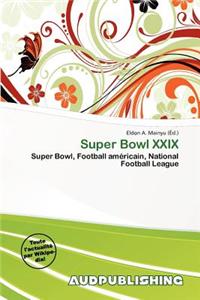 Super Bowl XXIX