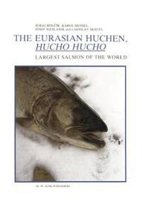 Eurasian Huchen, Hucho Hucho