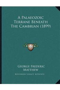 A Palaeozoic Terrane Beneath the Cambrian (1899)