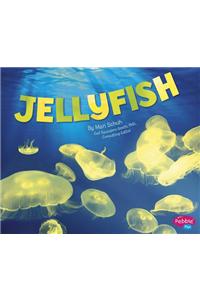 Jellyfish