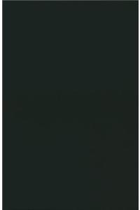 Human Resource Management Issues in Developing Countries