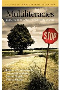 Multiliteracies: Beyond Text and the Written Word (Hc)