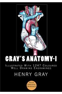 Gray's Anatomy: [Illustrated with 1247 Coloured Well Drawing Engrawings]