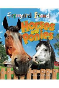 Horses and Ponies