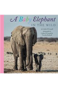 A Baby Elephant in the Wild