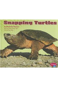 Snapping Turtles