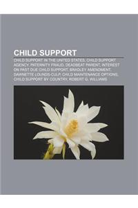 Child Support: Child Support in the United States, Child Support Agency, Paternity Fraud, Deadbeat Parent, Interest on Past Due Child