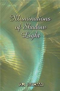 Illuminations of Shadows Light