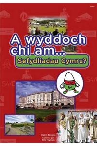 A Wyddoch Chi am Sefydliadau Cymru?