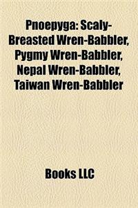 Pnoepyga: Scaly-Breasted Wren-Babbler, Pygmy Wren-Babbler, Nepal Wren-Babbler, Taiwan Wren-Babbler