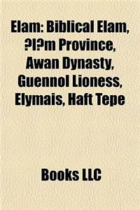 Elam: Elamite Cities, Elamite Language, Elamite People, Susa, Biblical Elam, Cuneiform Script, Elamo-Dravidian Languages, L