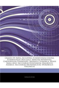 Articles on Grasses of India, Including: Echinochloa Colona, Echinochloa Crus-Galli, Panicum Antidotale, Chrysopogon Zizanioides, Imperata Cylindrica,