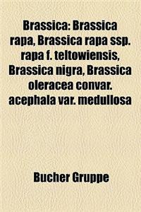 Brassica: Brassica Rapa, Brassica Rapa SSP. Rapa F. Teltowiensis, Brassica Nigra, Brassica Oleracea Convar. Acephala Var. Medull