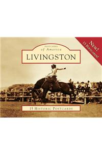 Livingston: 15 Historic Postcards