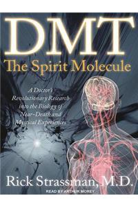 DMT: the Spirit Molecule