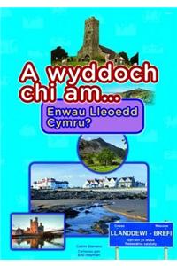 A Wyddoch Chi am Enwau Lleoedd Cymru?