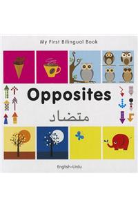 My First Bilingual Book-Opposites (English-Urdu)