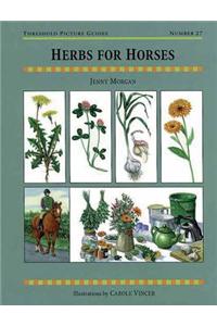 Herbs for Horses