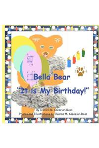 Bella Bear It Is My Birthday