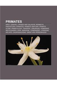 Primates: Apes, Lemurs, Lorises and Galagos, Monkeys, Prehistoric Primates, Primate Anatomy, Primate Stubs, Primatology, Tarsier