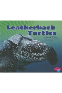 Leatherback Turtles