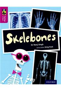 Oxford Reading Tree Treetops Infact: Level 10: Skelebones