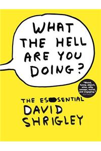 What the Hell Are You Doing?: The Essential David Shrigley