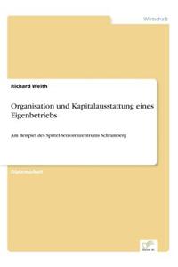 Organisation Und Kapitalausstattung Eines Eigenbetriebs
