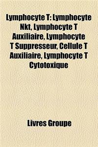 Lymphocyte T: Lymphocyte Nkt, Lymphocyte T Auxiliaire, Lymphocyte T Suppresseur, Cellule T Auxiliaire, Lymphocyte T Cytotoxique