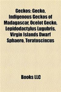 Geckos: Diplodactylinae, Fictional Chameleons and Geckos, Flat-Tailed Geckos, Gecko Stubs, Gekkonidae, Crested Gecko, Heterono