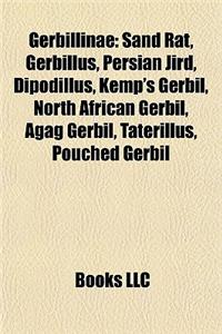 Gerbillinae Introduction: Sand Rat, Gerbillus, Persian Jird, Dipodillus, Kemp's Gerbil, North African Gerbil, Agag Gerbil, Taterillus