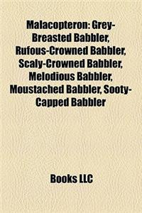 Malacopteron: Grey-Breasted Babbler, Rufous-Crowned Babbler, Scaly-Crowned Babbler, Melodious Babbler, Moustached Babbler, Sooty-Cap