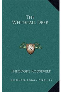 The Whitetail Deer