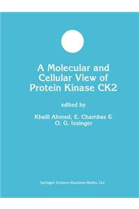 Molecular and Cellular View of Protein Kinase CK2