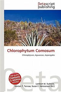 Chlorophytum Comosum