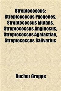 Streptococcus: Streptococcus Pyogenes, Streptococcus Mutans, Streptococcus Anginosus, Streptococcus Agalactiae, Streptococcus Salivar