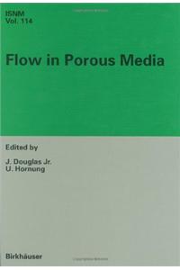 Flow in Porous Media