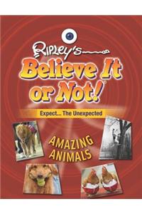 Amazing Animals