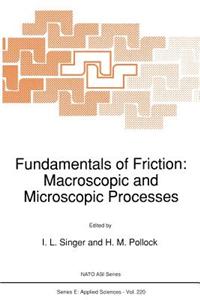 Fundamentals of Friction: Macroscopic and Microscopic Processes