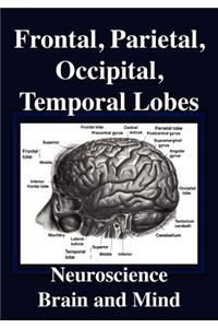 Frontal Lobes, Parietal Lobes, Occipital Lobes, Temporal Lobes, Neuroscience, Brain and Mind