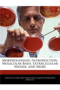 Morphogenesis: Introduction, Molecular Basis, Extracellular Matrix, and More