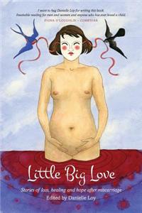 Little Big Love - Stories of Loss, Healing and Hope After Miscarriage