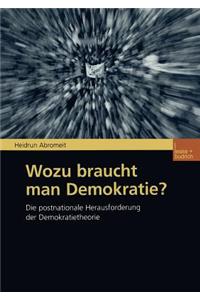 Wozu Braucht Man Demokratie?: Die Postnationale Herausforderung Der Demokratietheorie
