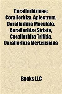 Corallorhizinae: Corallorhiza, Aplectrum, Corallorhiza Maculata, Corallorhiza Striata, Corallorhiza Trifida, Corallorhiza Mertensiana