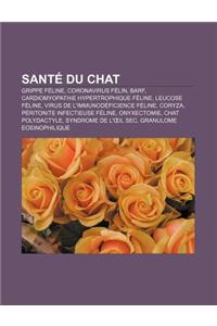 Sante Du Chat: Grippe Feline, Coronavirus Felin, Barf, Cardiomyopathie Hypertrophique Feline, Leucose Feline