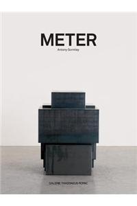 Antony Gormley: Meter