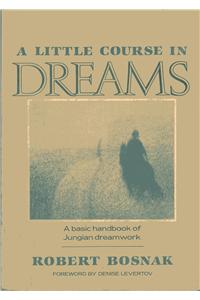 A Little Course in Dreams