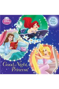 Good Night, Princess!